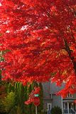 DSC00955.JPG