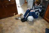 DSC01074_07.jpg