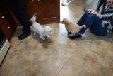 DSC01077_08.jpg