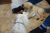 DSC01087_10.jpg