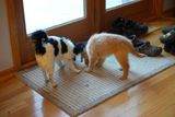 DSC01153.JPG