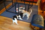 DSC01170.JPG