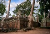 Ta Prohm Temple