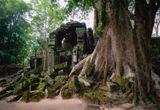 Ta Prohm Temple 