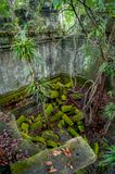 Beng Mealea