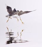 Pas de danse