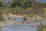 Water in Caspers stream!