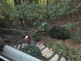 leaf blower.jpg