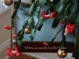 My Christmas Tree