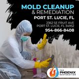 The Phoenix Restoration Of Port Saint Lucie mold remediation 954-866-8408