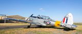_DSC1959.JPG