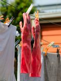 _DSC3819.JPG