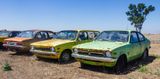 _DSC5986.JPG
