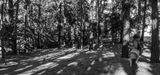 DSC_6323-Pano.JPG