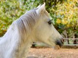 DSC_6314.JPG