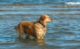 DSC_0095.JPG