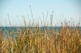 DSC_0713.JPG