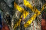 DSC_0738.JPG