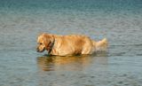 DSC_0770.JPG