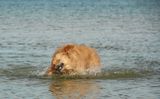DSC_0777.JPG