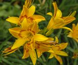 DSC_2830.JPG