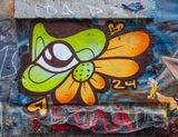 DSC_6428.jpg