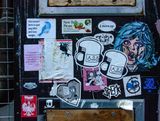 DSC_6446.jpg