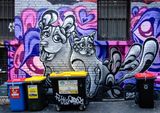 DSC_6479.jpg