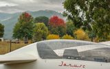 DSC_6772.jpg