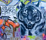 DSC_6643.jpg