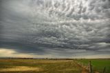 DSC_0487.jpg