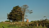 DSC_2769.jpg