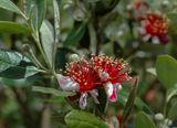 DSC_2826.jpg