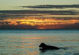 DSC_3131.jpg