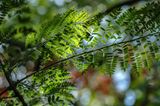 DSC_3751.jpg