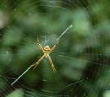 DSC_4298.jpg
