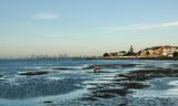 DSC_5694.jpg