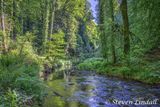 Lydford Gorge