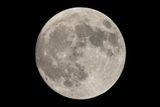 2024 Mid-Autumn Festival 