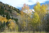 100_3382.jpg