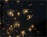 The Fireworks Next Door