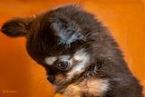 Baby Profile 11-28-24