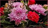 Flowers for Valentines Day 2-11-25