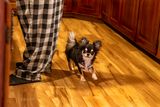 Daddys Little Helper 5-09-25