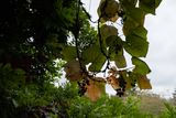 06 Stoke Poges Memorial Gardens.jpg