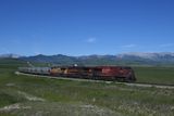 Crowsnest and Kootenay