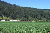 Canadian National Railway