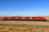 GLM_4258.p.jpg