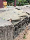 IMG_1434.jpeg
