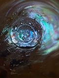 IMG_6863.jpeg